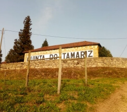 Quinta do Tamariz